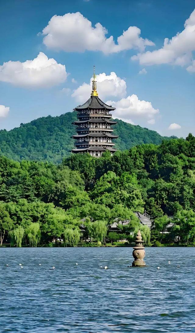 忘忧草社区WWW日本高清图片